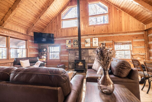 Smart TV, fireplace, books