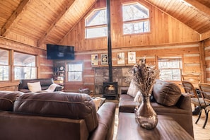 Smart TV, fireplace, books