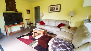 Smart TV, chimenea, libros, oficina