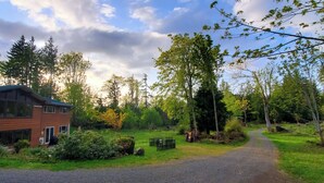 A wooden cabin with a gravel driveway, surrounded by dense forest and a clear sky. - Secluded Rural Retreat in the Olympic Foothills Near Olympic National Park (Port Angeles)