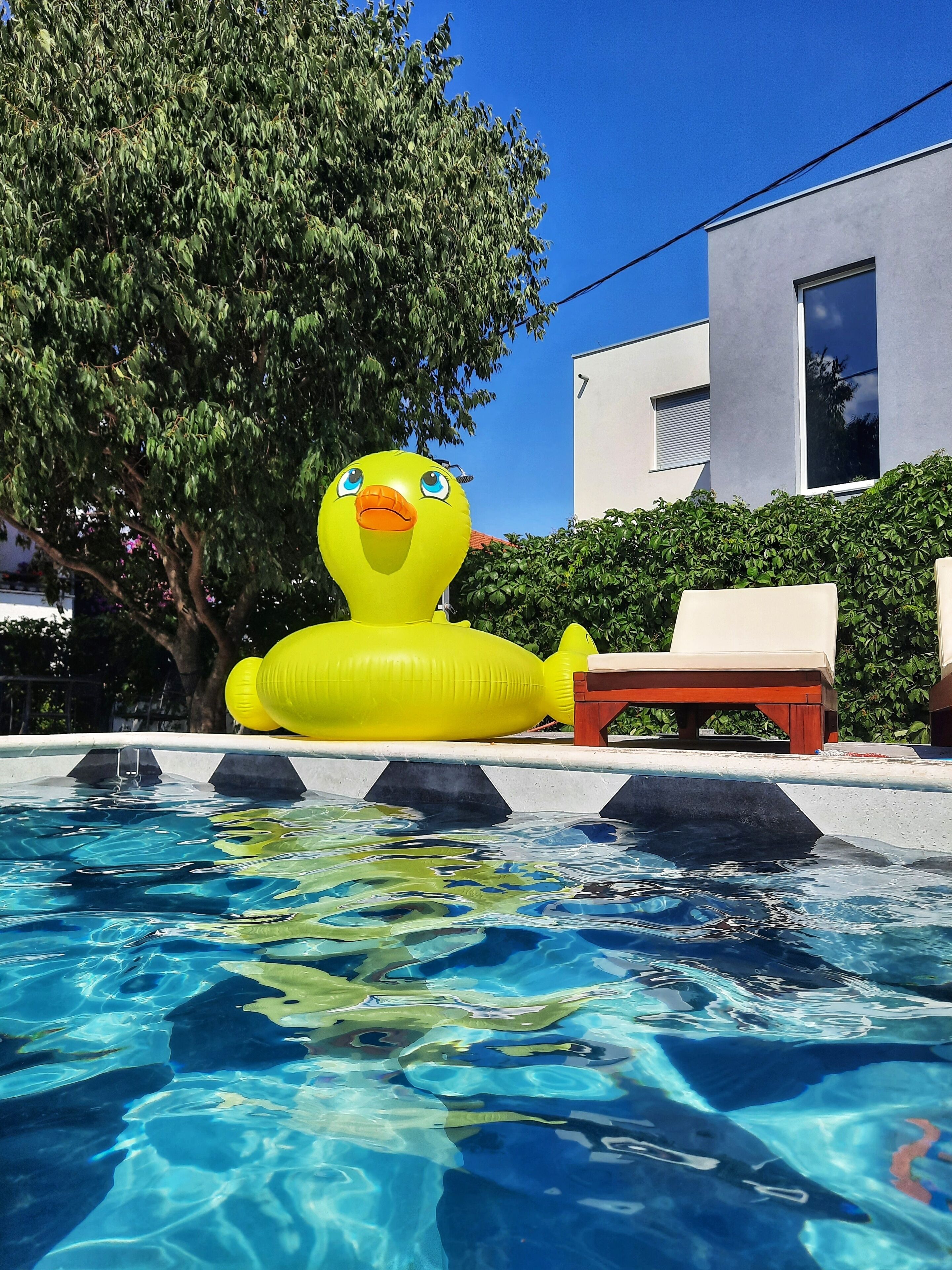 A swimming pool with a large inflatable duck, a lounge chair, and a modern building in the background.