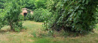 Apartment in semi-detached farmhouse with separate entrance