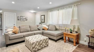 Smart TV, fireplace, books