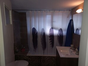 Combined shower/bathtub