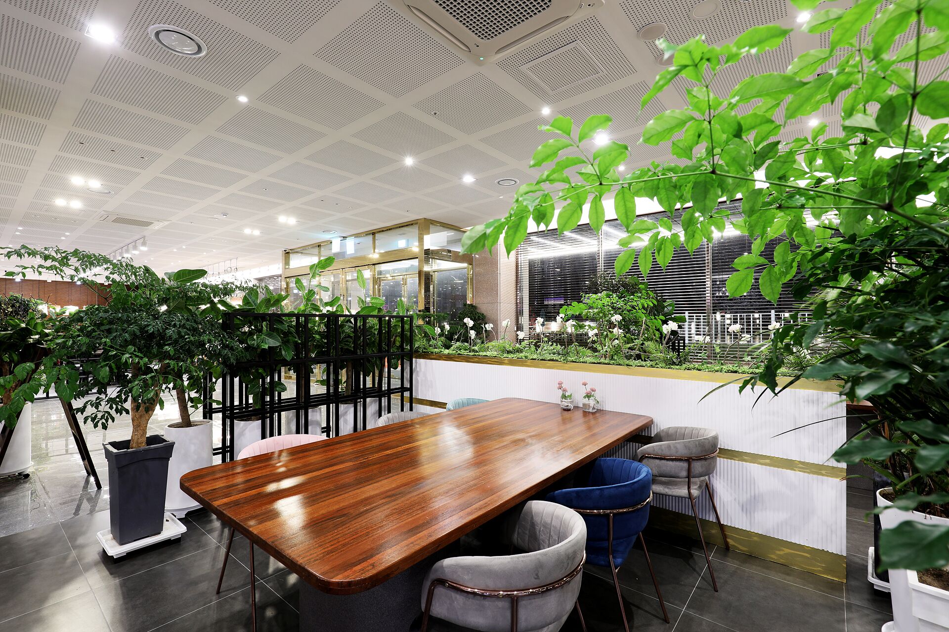 Un espacio interior moderno con una mesa de madera, sillas y plantas en macetas.