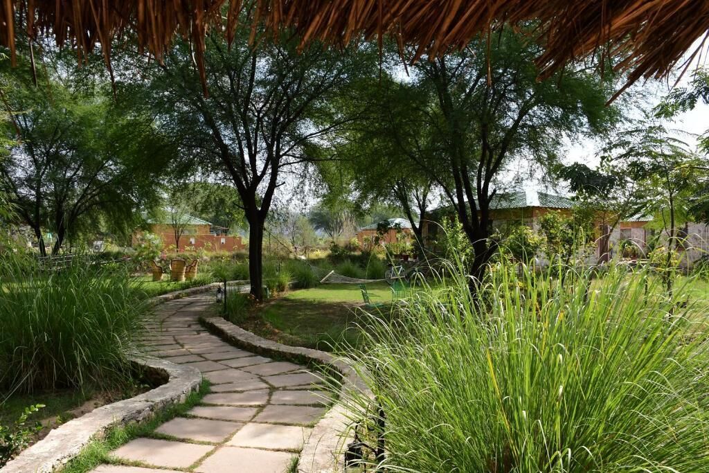 A stone pathway winding through a lush garden with tall grasses and trees, leading to a building with a green roof.