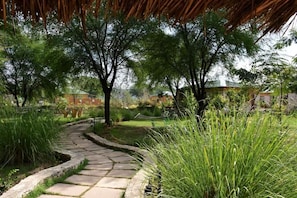 A stone pathway winding through a lush garden with tall grasses and trees, leading to a building with a green roof. - Bagh Serai (Sawai Madhopur)