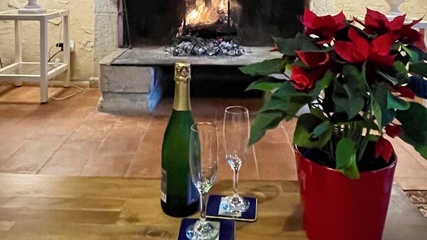 A fireplace with a painting above it, a lit fire, a bottle of champagne, two glasses, and a red potted plant.