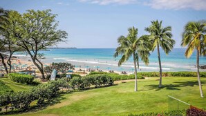 A beach view with palm trees, a grassy area, and a clear sky.