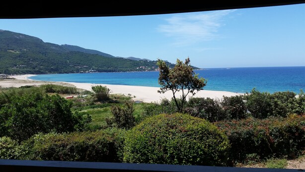 A coastal view with a beach, greenery, and distant hills. - House (Calcatoggio)