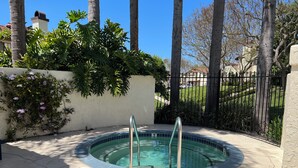 Un jacuzzi con barandas metálicas, rodeado por un patio de concreto, palmeras y una cerca.