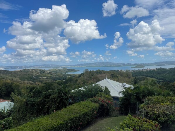 A house with a sloped roof, surrounded by lush greenery and a view of a lake and distant hills.