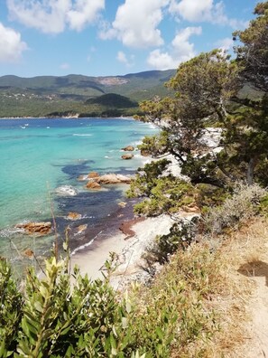 A coastal landscape with clear turquoise waters, rocky shoreline, and dense greenery. - Mini-villa with a partial ocean view and a heated pool in Serra di Ferro (Serra-di-Ferro)