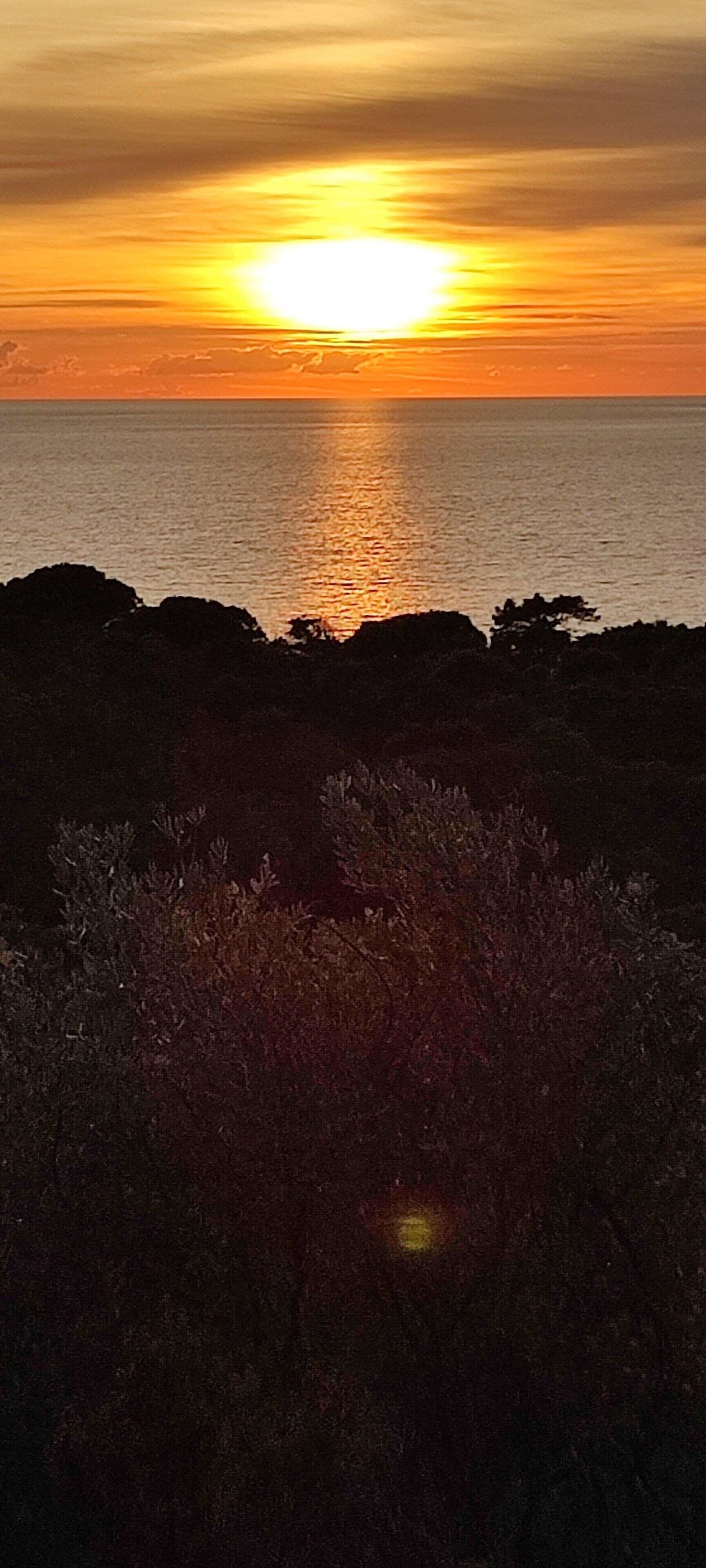 A sunset over a body of water with silhouettes of vegetation in the foreground.