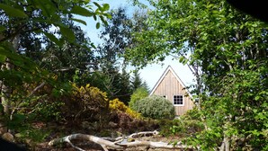 Ein rustikales Holzhaus, umgeben von dichtem Grünwerk und einem umgestürzten Baum in einem bewaldeten Gebiet.