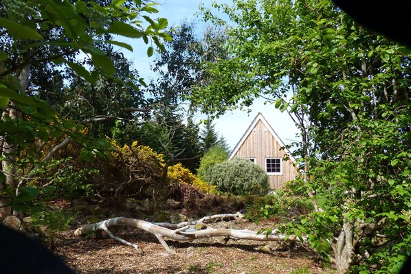 A rustic wooden house surrounded by dense foliage and a fallen tree in a forested area.