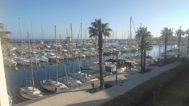 Un port de plaisance où sont amarrés de nombreux bateaux, avec un sentier et des palmiers.