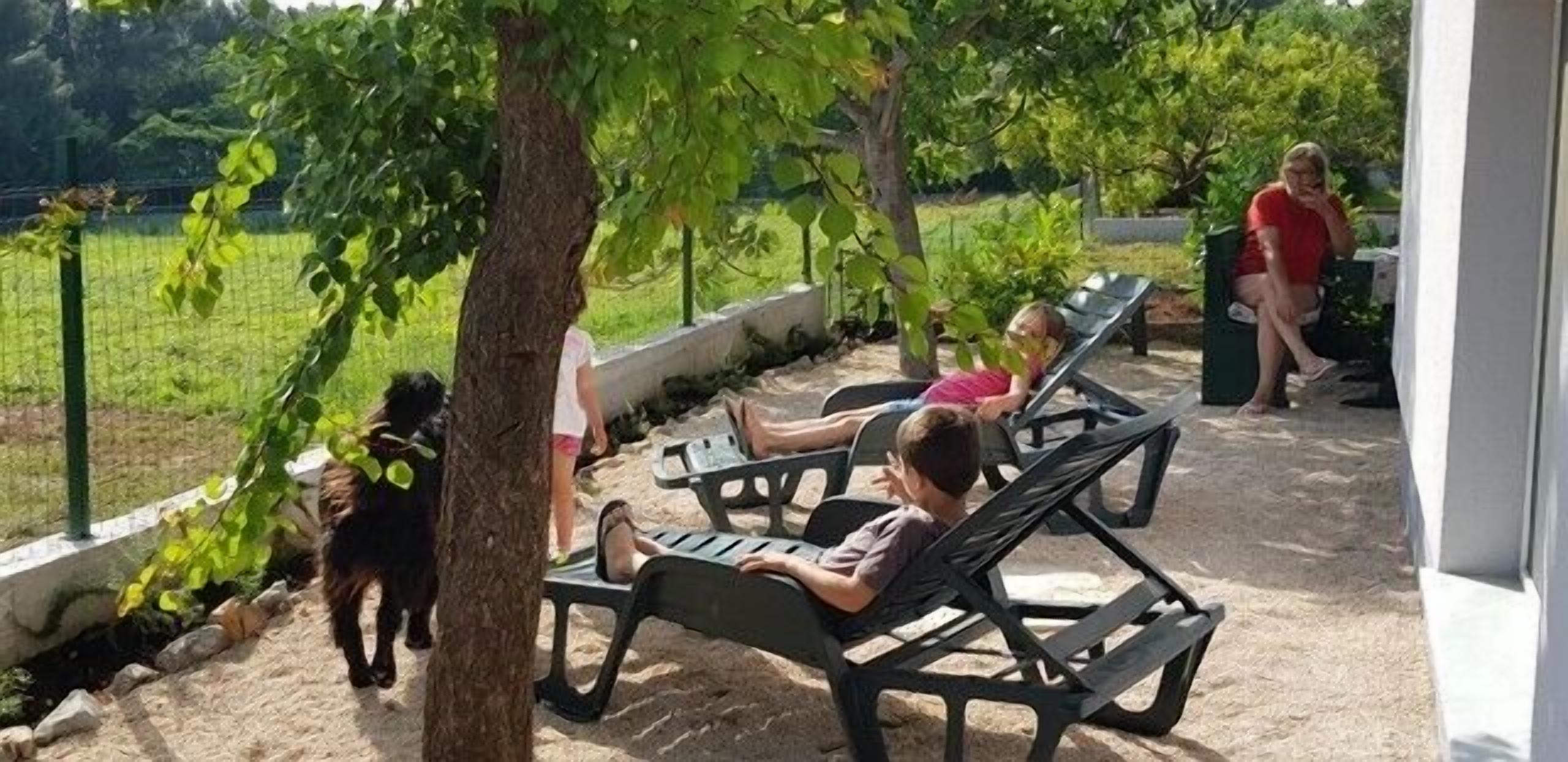 A patio area with lounge chairs and a dog walking by.