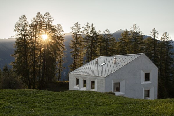 A modern house with a sloped roof, surrounded by a forest and mountains.