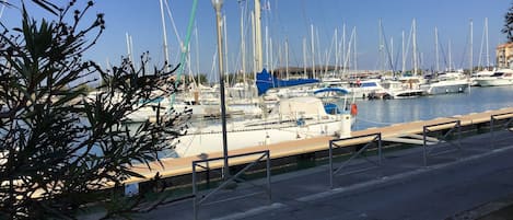 Marina
