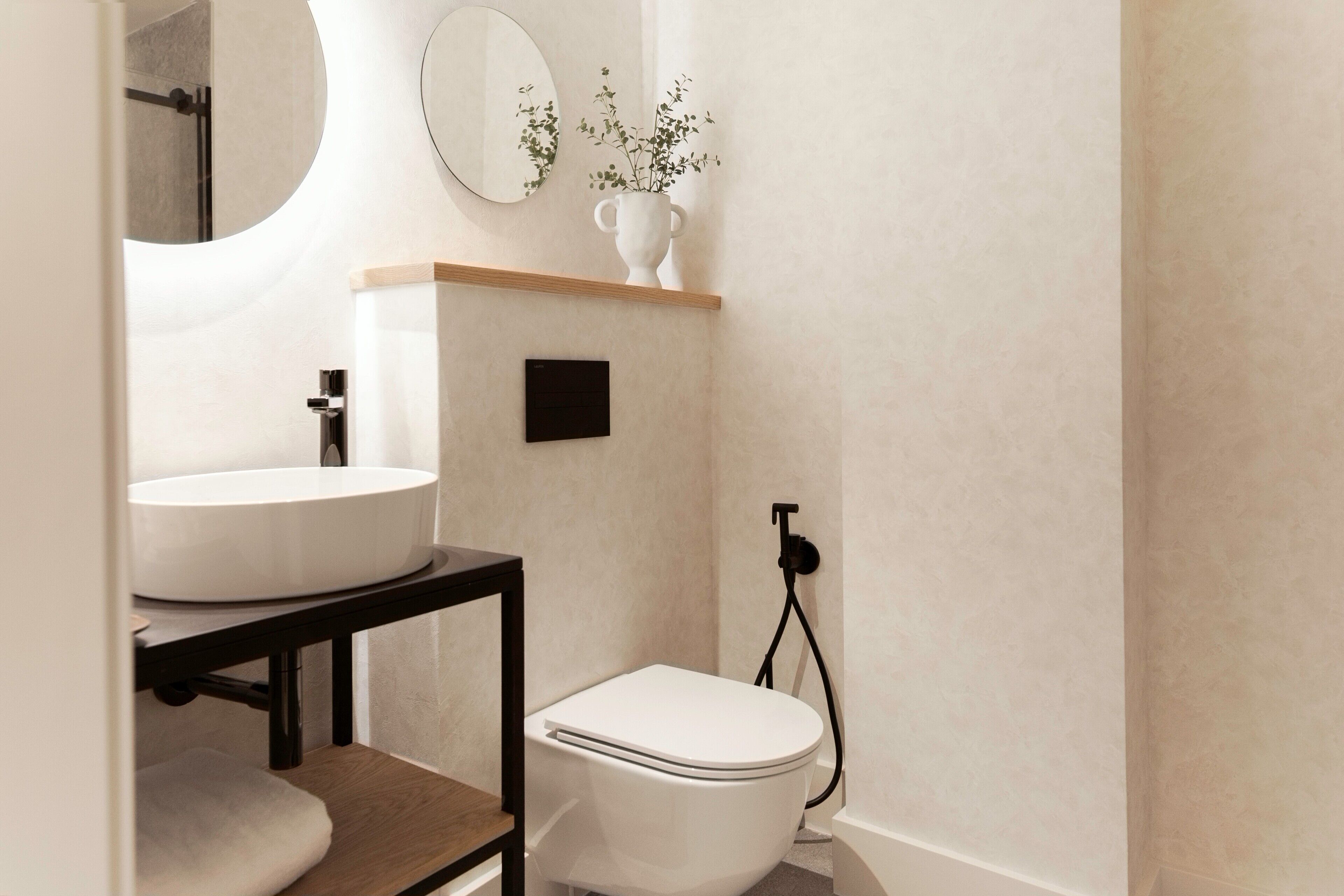 A bathroom with a white sink, a toilet, a mirror, and a small plant on a shelf.