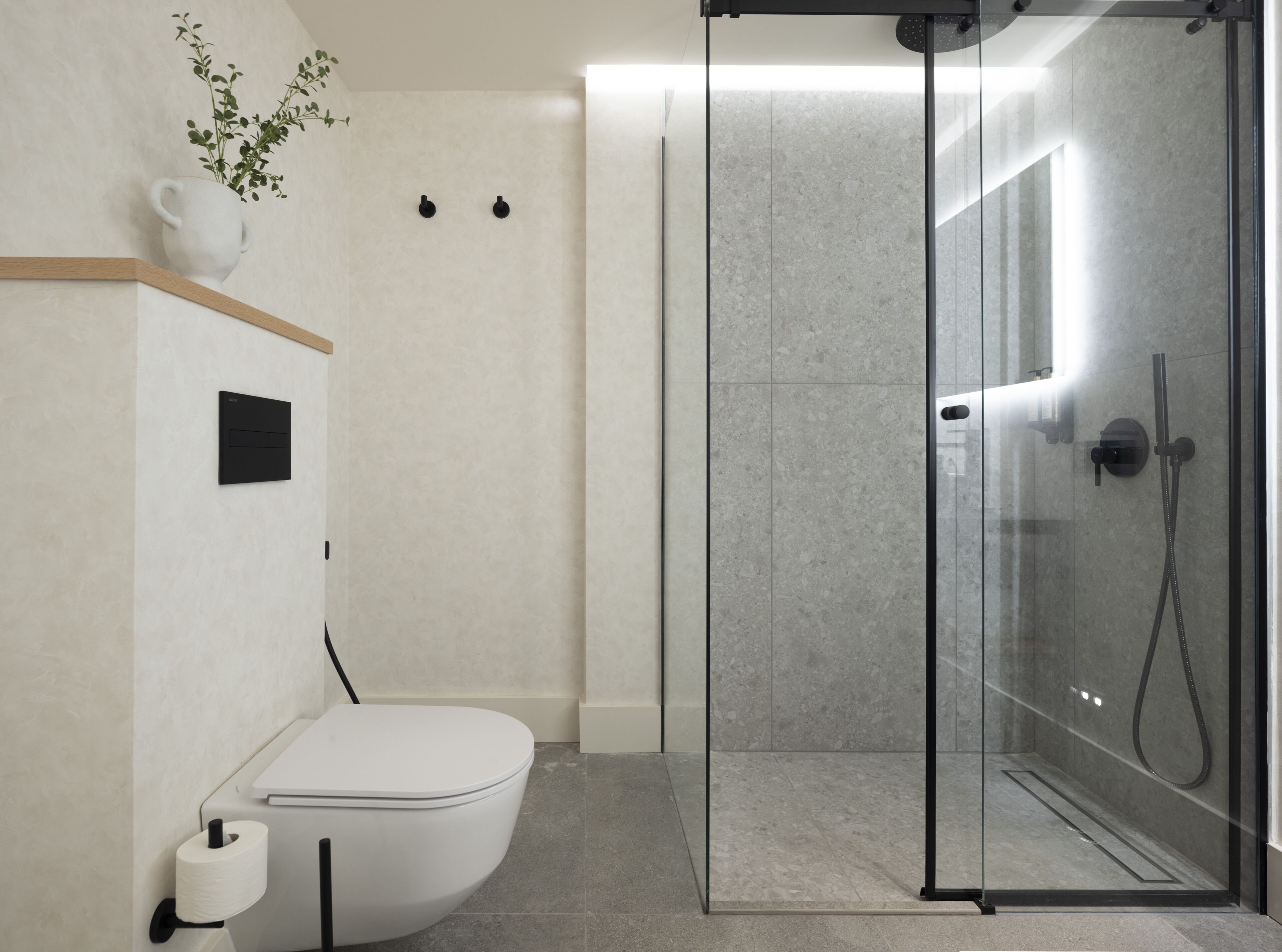 Un baño moderno con ducha de vidrio, inodoro y una pequeña estantería con una planta.