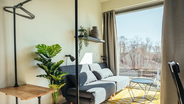 A modern living room with a grey sofa, a small wooden table, a potted plant, and a view of trees through a large window.