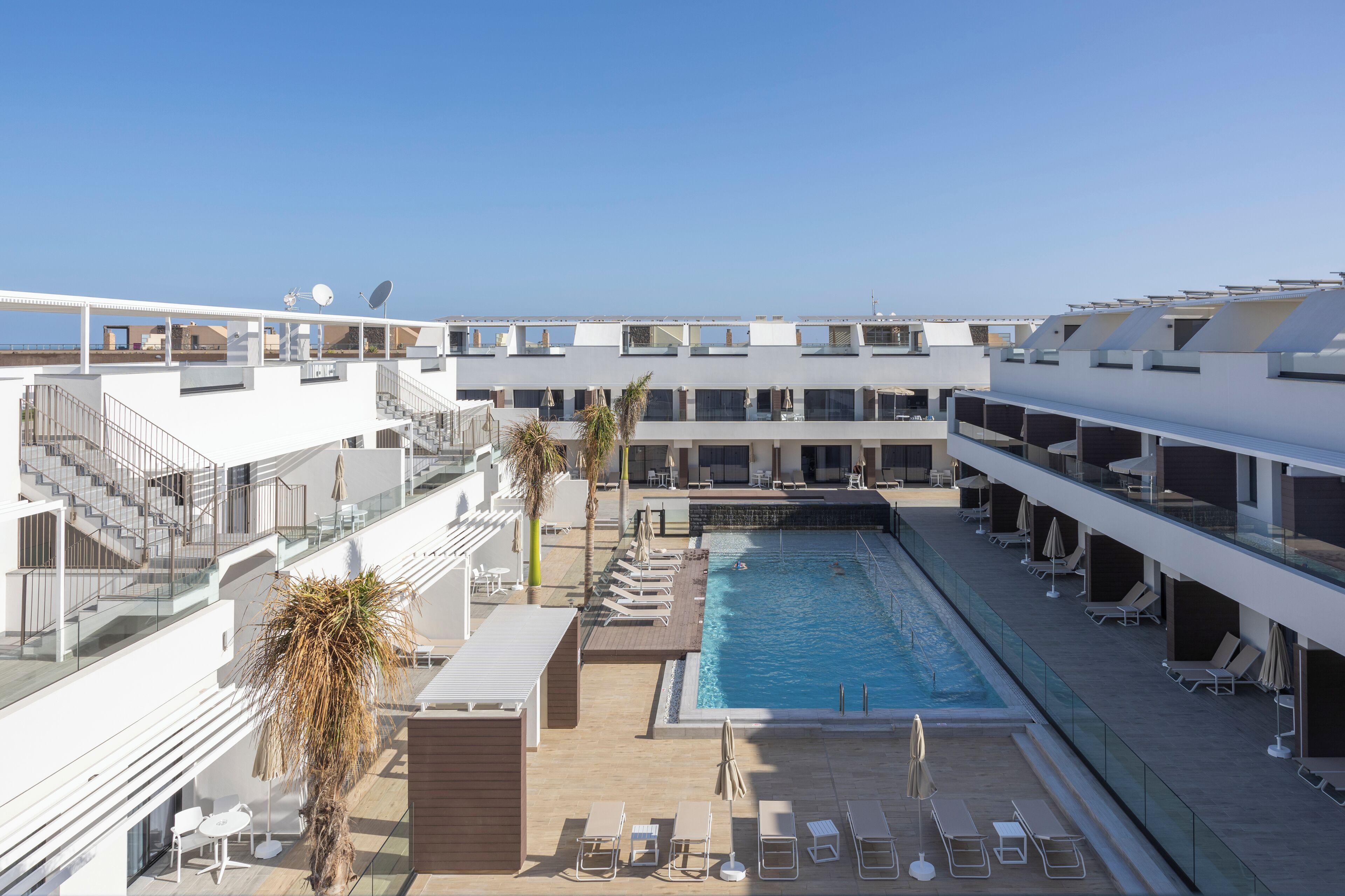 Una piscina en la azotea con tumbonas y una palmera.