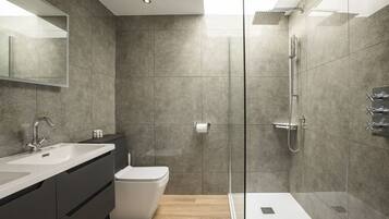 Shower, hair dryer, towels