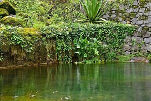 Property grounds - Pure Monchique Hotel (Monchique)