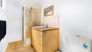 Shower, hair dryer