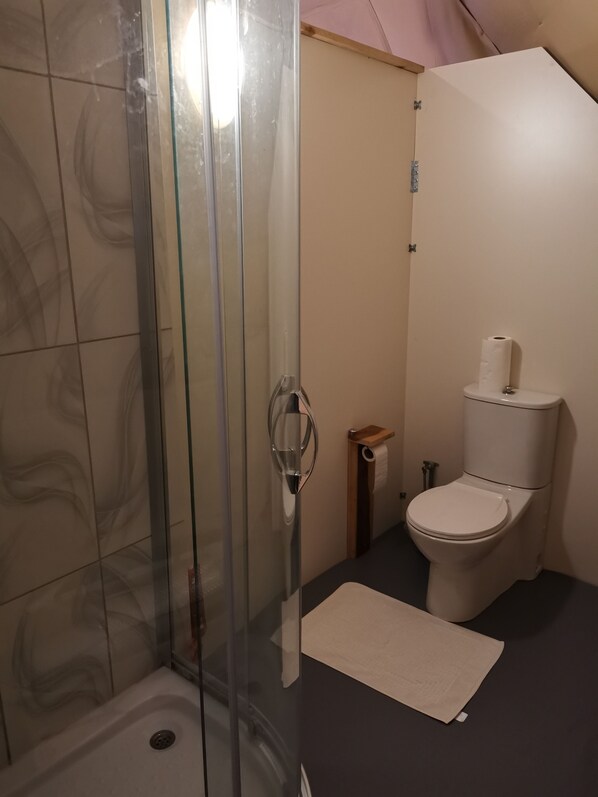 A bathroom with a glass shower enclosure, a toilet, and a sink.