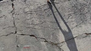 Une personne se tient debout sur un promontoire rocheux, d’où elle a une vue panoramique sur le paysage côtier.