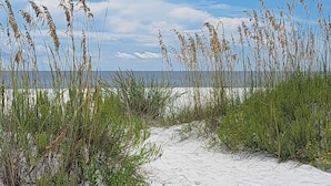 A sandy beach with sparse vegetation and a clear sky. - Beachside Townhome w/ Pool |5 Decks | prime spot (Mexico Beach)