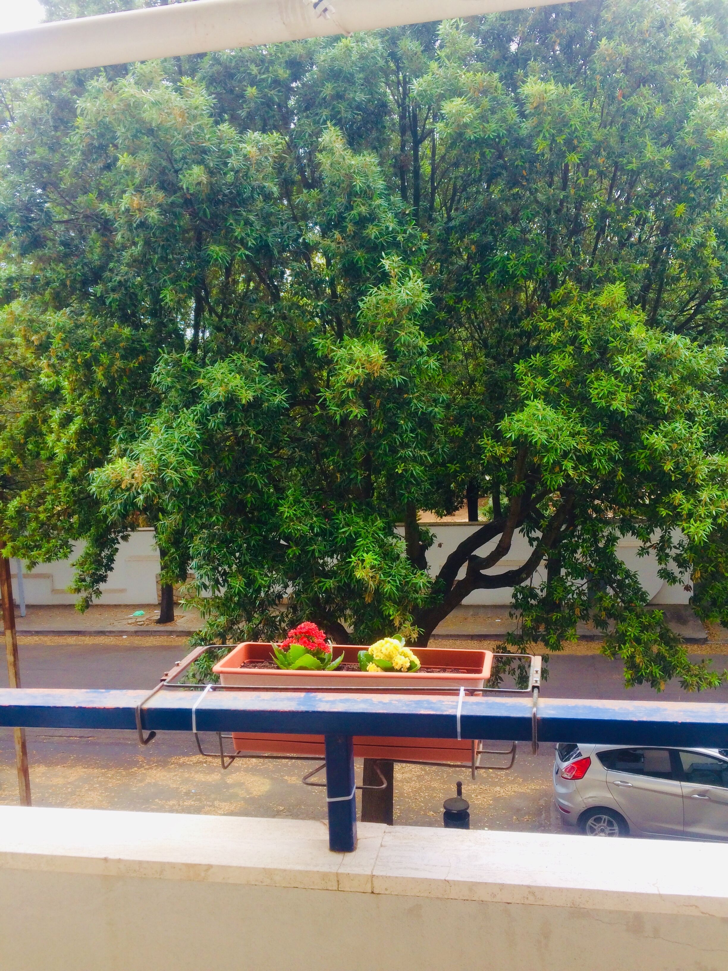 Via De Pace Flat, 18