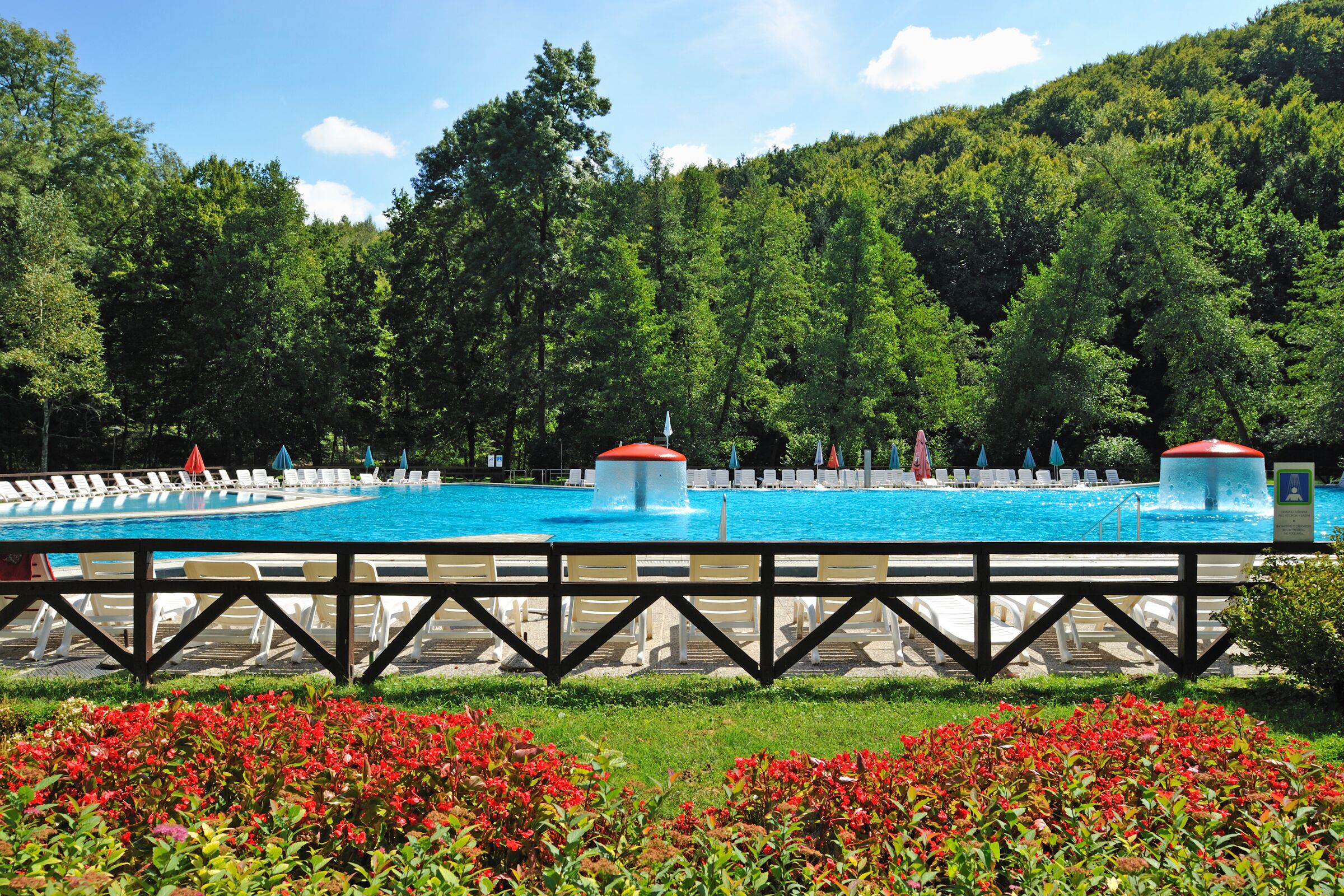 A swimming pool with lounge chairs and umbrellas, surrounded by a wooden fence and red flowers.