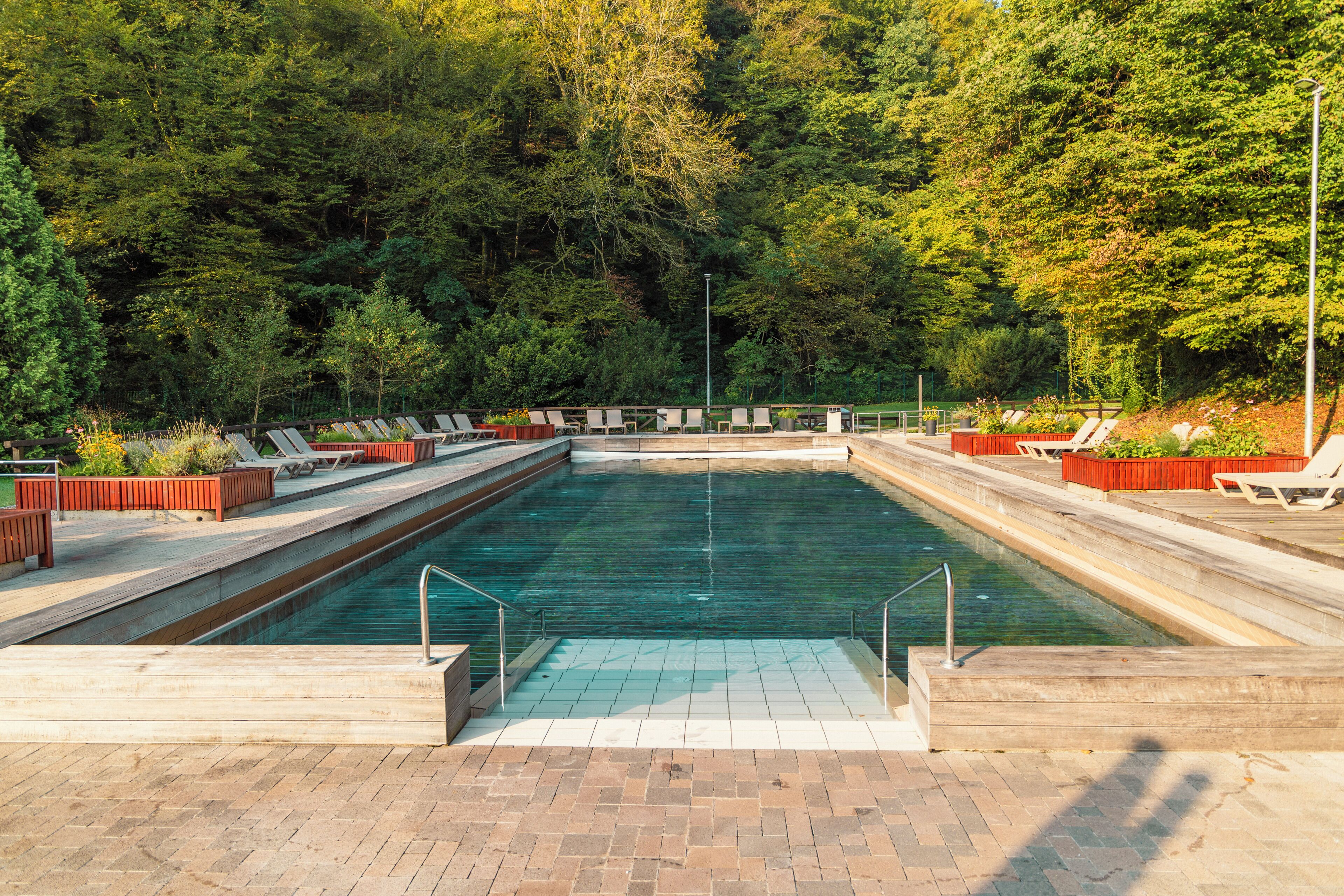 A rectangular swimming pool with a wooden deck, surrounded by lounge chairs and planters, set against a backdrop of dense trees.