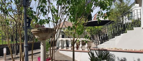 Terassi/patio