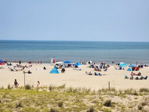 På stranden