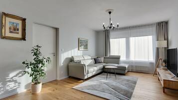 Smart-TV, Tischtennisplatte, Bücher