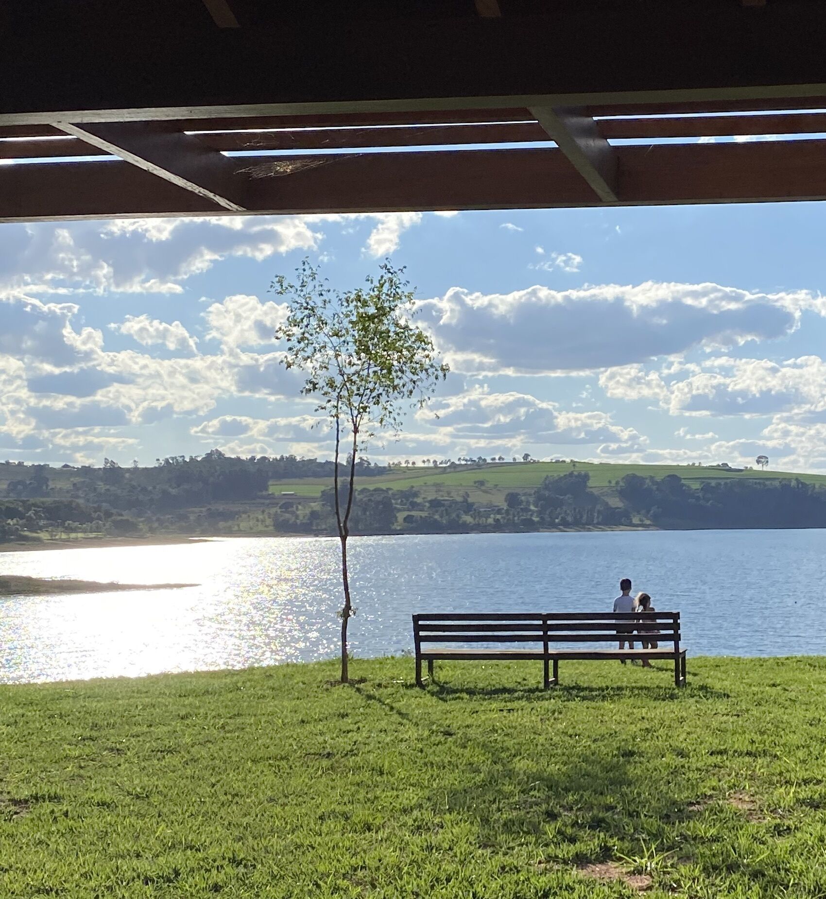 Eine Bank mit einer sitzenden Person, mit Blick auf einen See, im Vordergrund steht ein Baum.