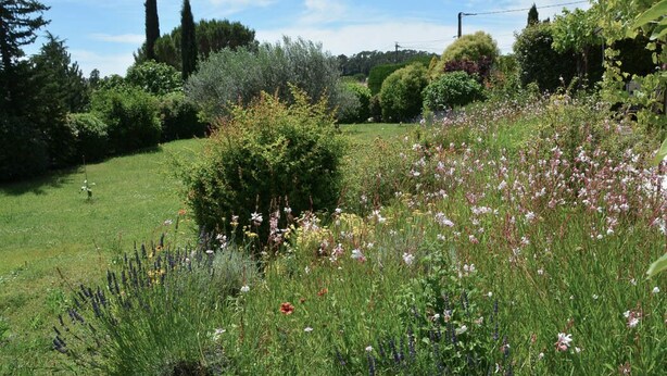Un jardin luxuriant, parsemé de diverses plantes à fleurs et doté d’une pelouse bien entretenue.