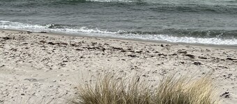 Cozy little cottage close to beach