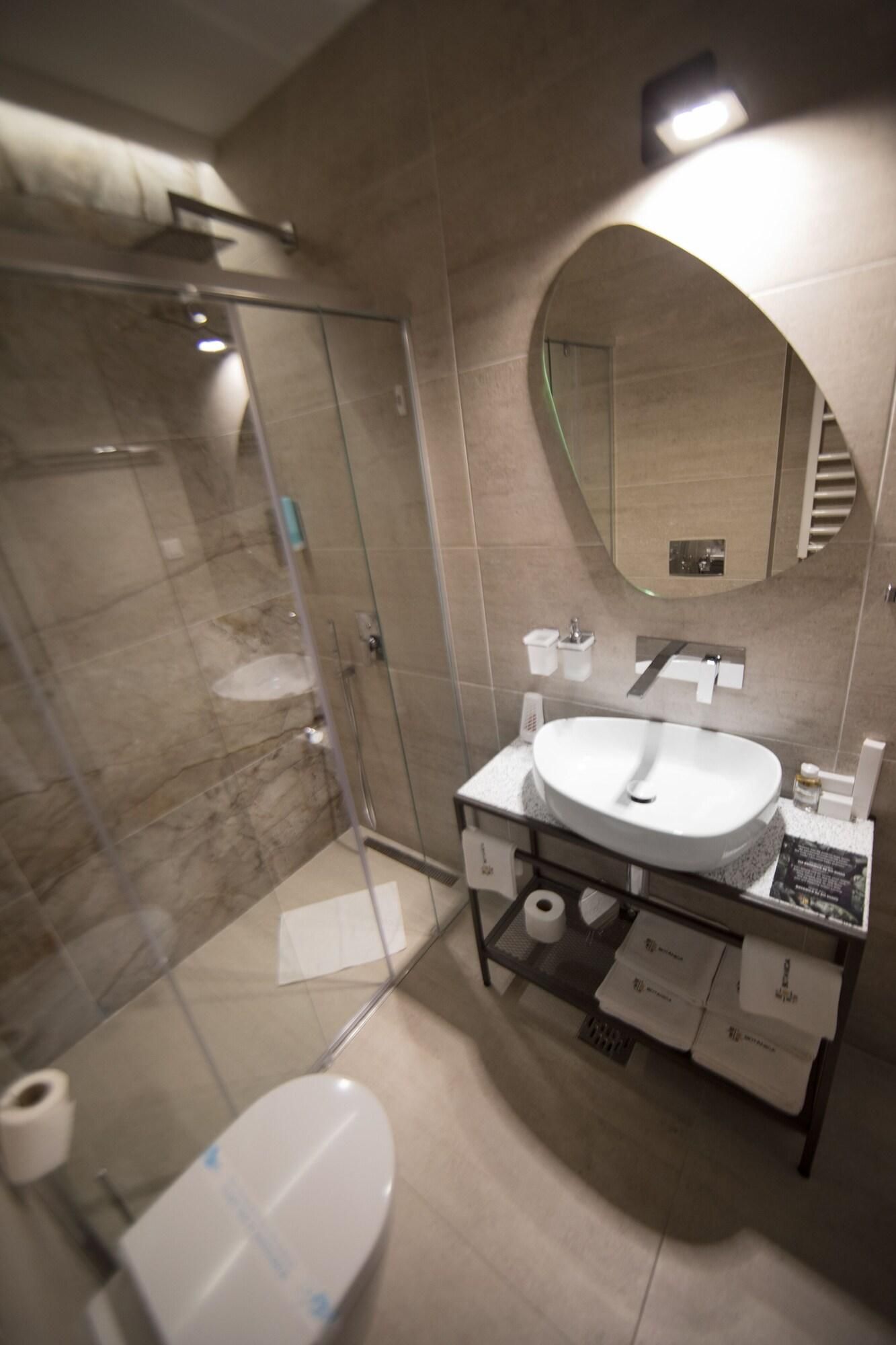 A modern bathroom with a glass shower enclosure, a white sink, and a mirror.