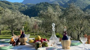 Une table à manger installée à l’extérieur, dressée avec différents plats, des bouteilles et des verres, entourée d’oliviers et avec des montagnes en arrière-plan.