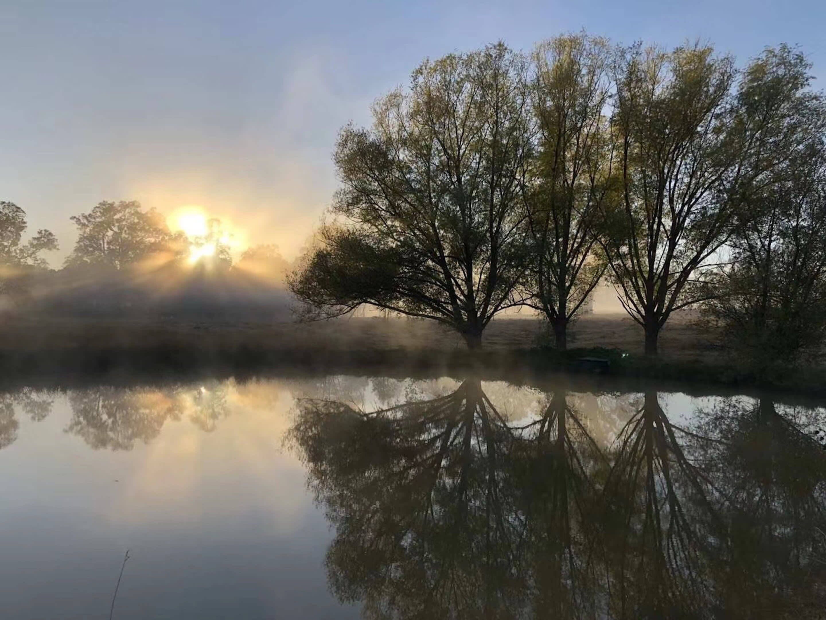 A calm lake with trees reflecting the sunrise.