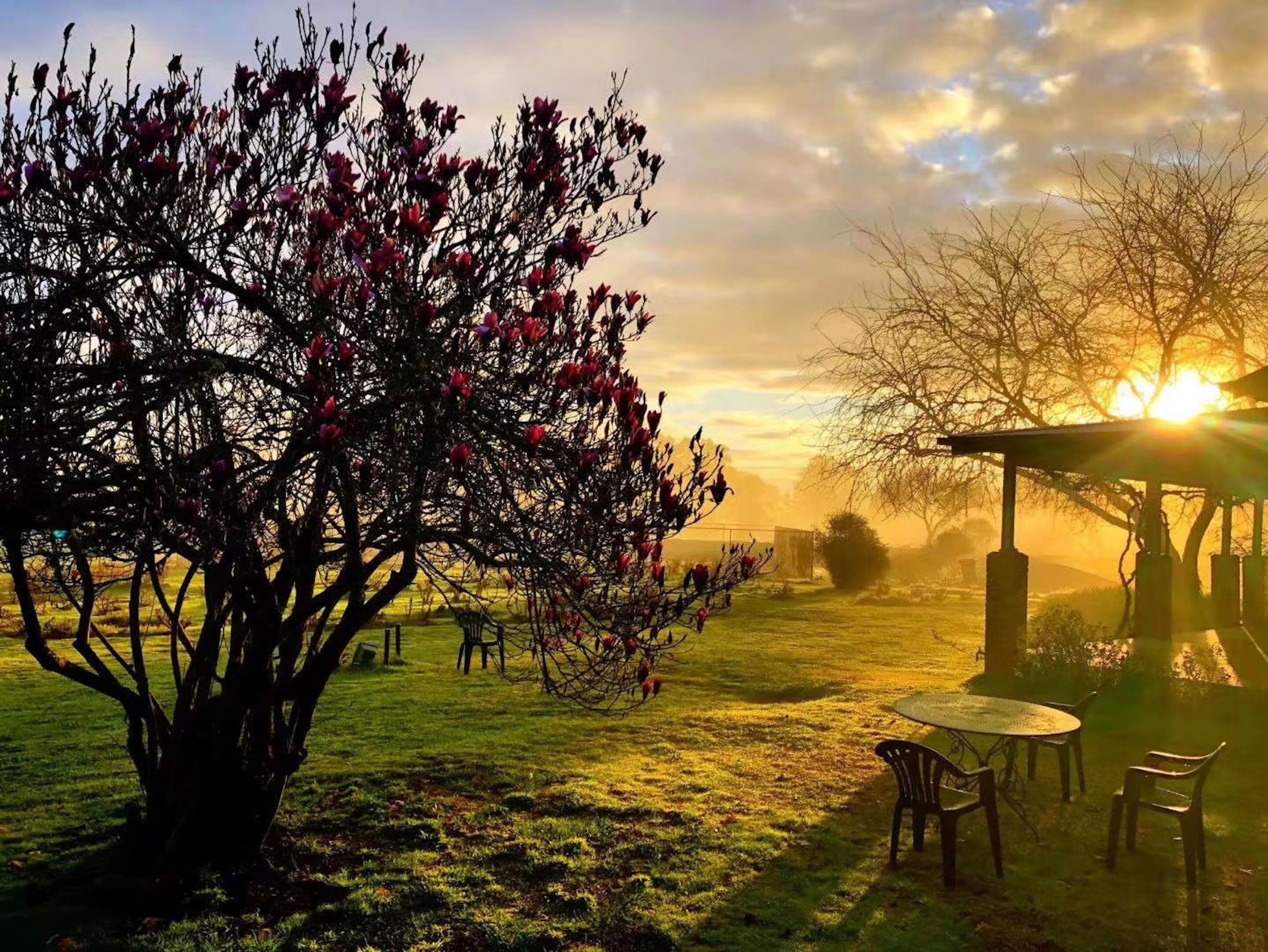 Een rustige buitenomgeving met een boom vol roze bloesems, een kiosk en een tafel met stoelen.