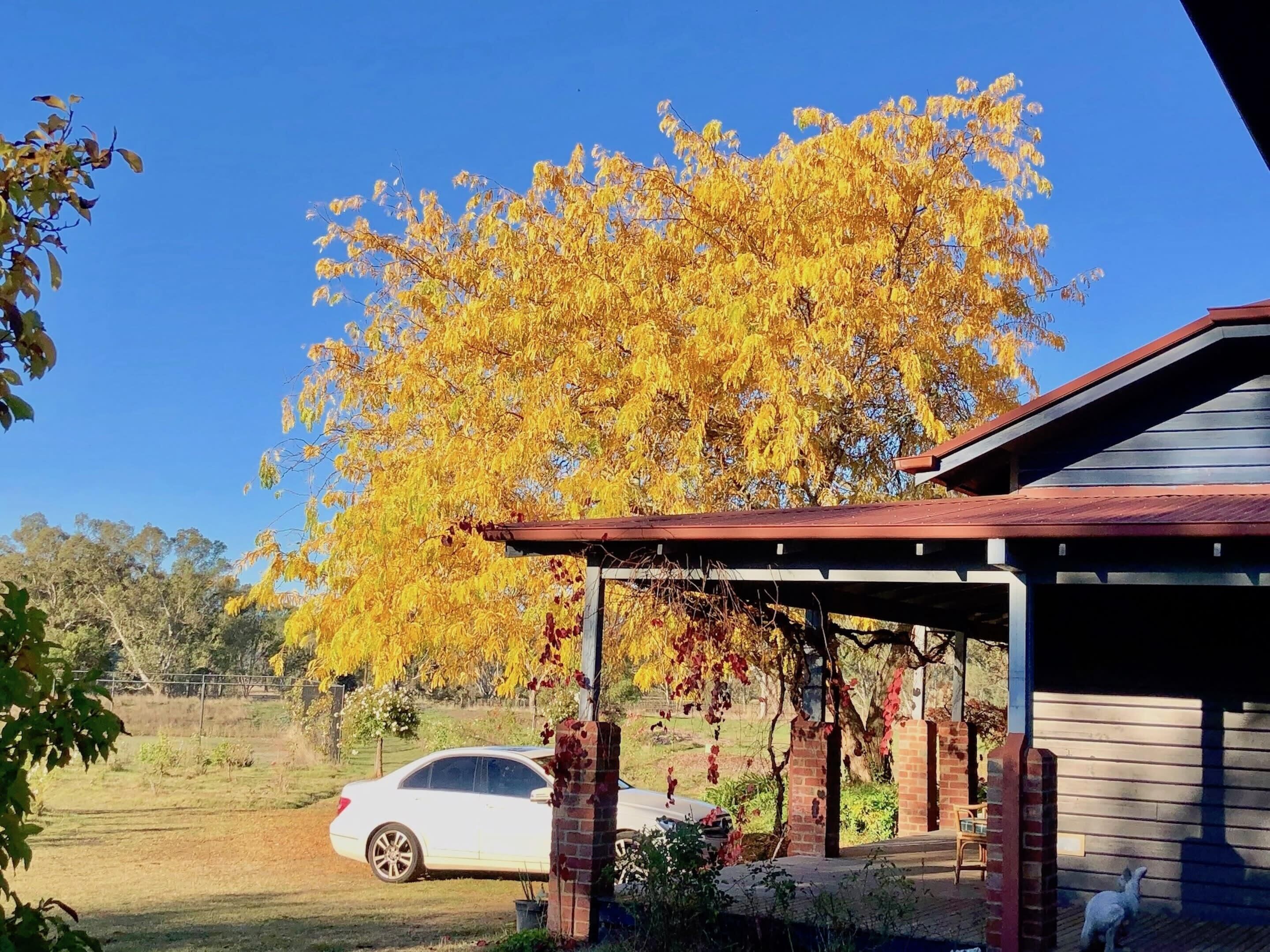A covered porch with a brick column, a white car parked in the background, and a tree with yellow leaves.