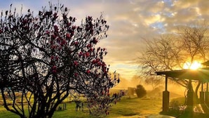 Entorno al aire libre tranquilo con un árbol de flores rosadas, un pabellón y una mesa con sillas.