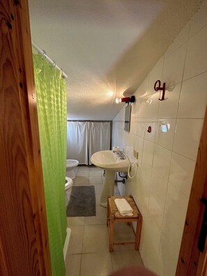 Chuveiro, secador de cabelo, bidê, papel higiênico